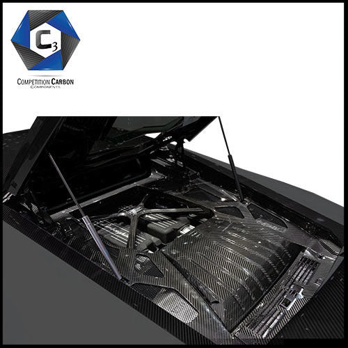 C3 Carbon Lamborghini Huracan LP610 Carbon Fiber Complete Engine Bay