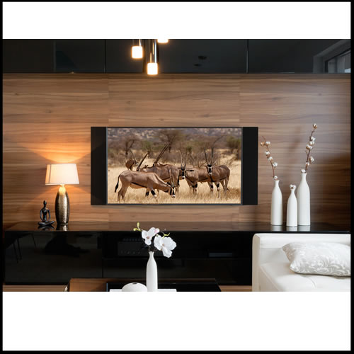 PARADIGM Decor 2SC (EACH)