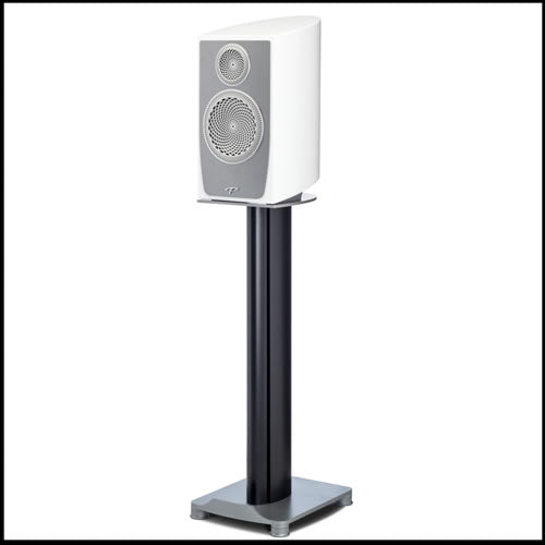 PARADIGM PERSONA B